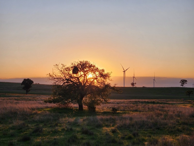 Sunset over wind farm, central west NSW